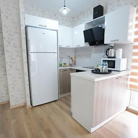 King Ok0 Apartment Istanbul